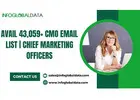 Reach Marketing Heights: CMO Email List at Your Fingertips