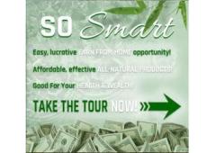 Quit that 9-5. Your Gateway to Online Income Awaits!