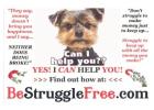 This is the EYE OPENER that you’ve been looking for