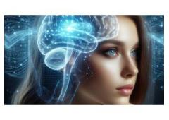 Donald Trump Campaign Domain Names For Sale