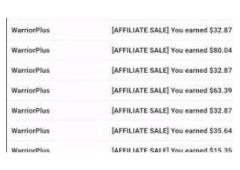 The Cash-In-48-Hours Marketing System (Done-For-You Marketing)!